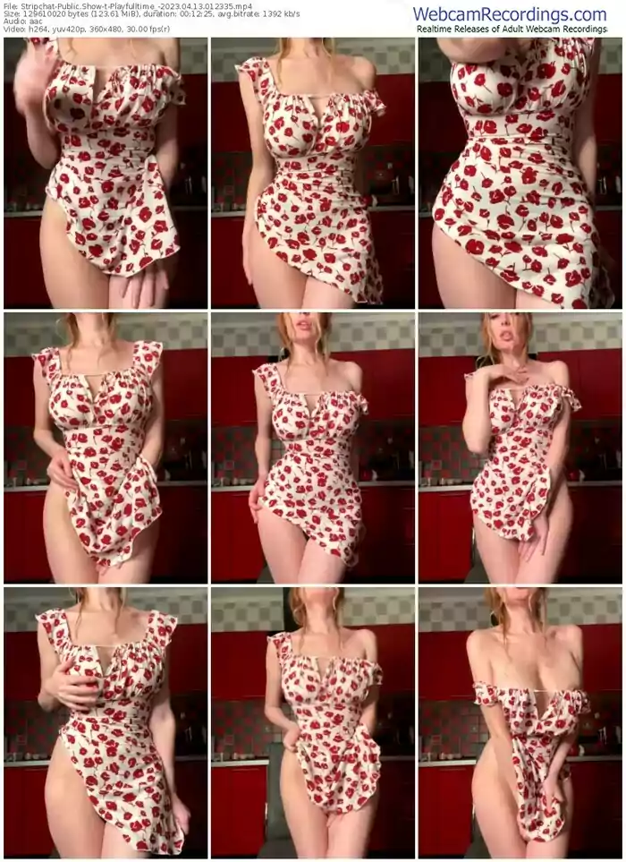 2023/04/13/stripchat-playfulltime_-01-23-35
