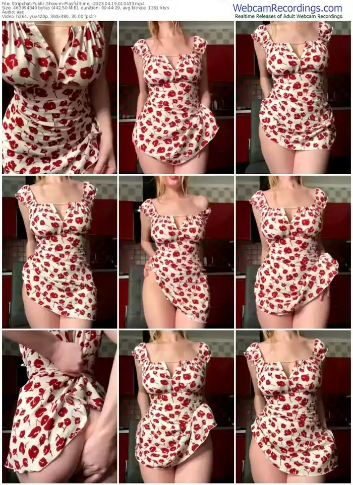 2023/04/19/stripchat-playfulltime_-01-04-33