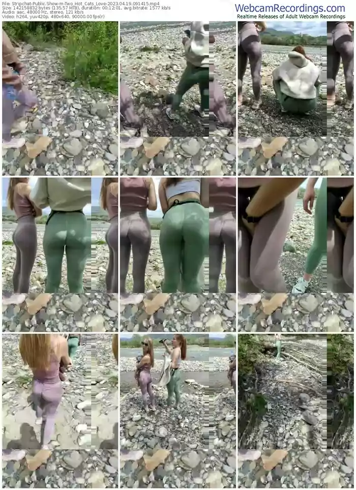 2023/04/19/stripchat-two_hot_cats_love-09-14-15