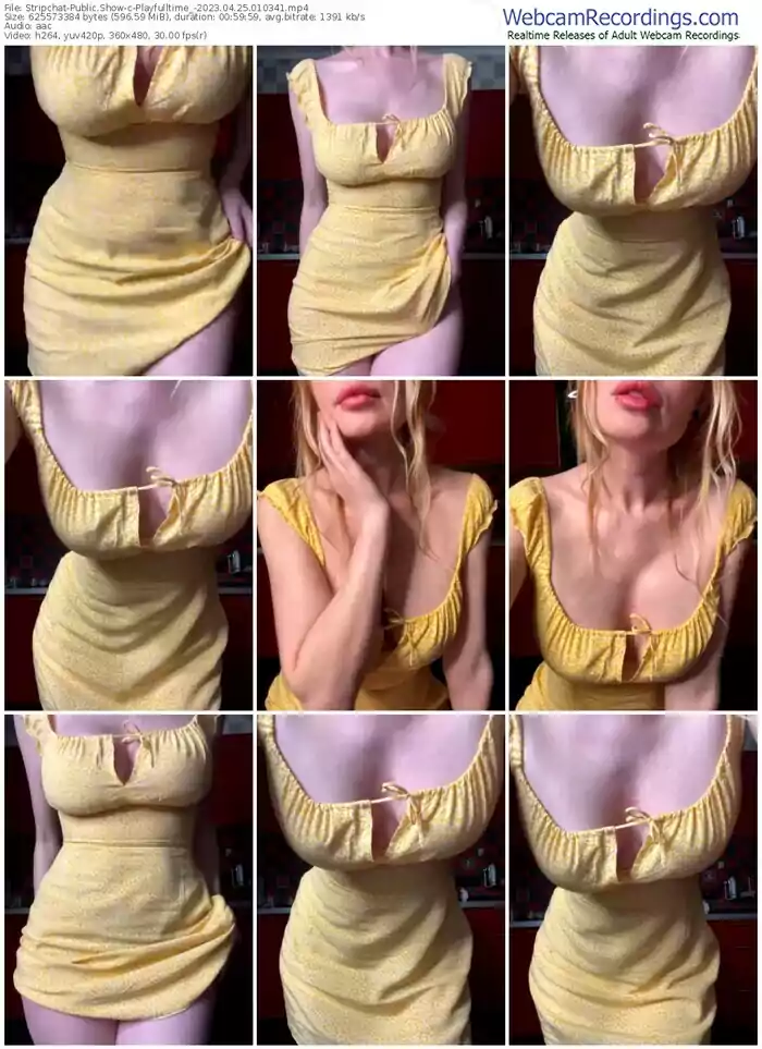 2023/04/25/stripchat-playfulltime_-01-03-41