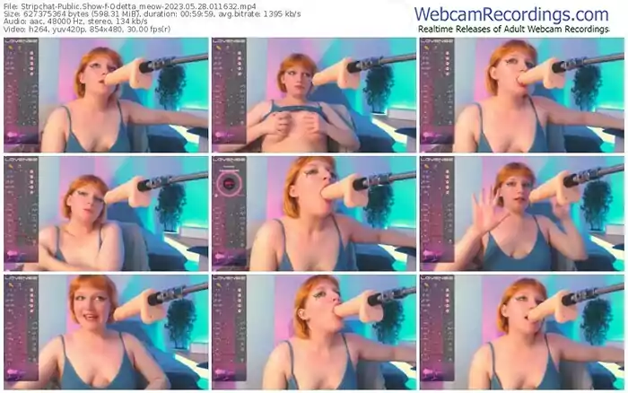 2023/05/28/stripchat-odetta_meow-01-16-32