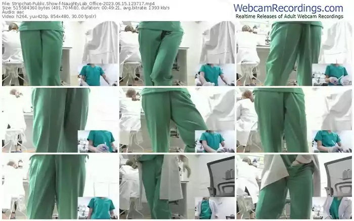 2023/06/15/stripchat-naughtylab_office-12-37-17