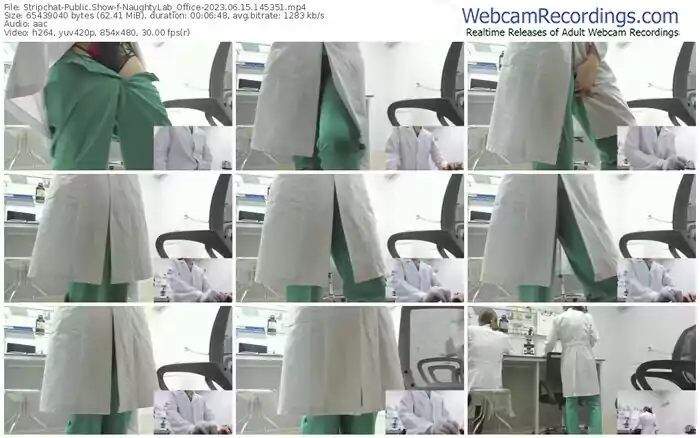 2023/06/15/stripchat-naughtylab_office-14-53-51