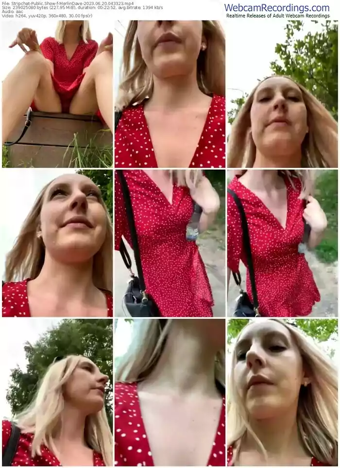 2023/06/20/stripchat-merlindave-04-33-23