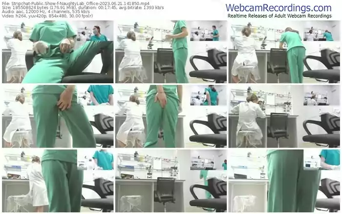 2023/06/21/stripchat-naughtylab_office-14-18-50