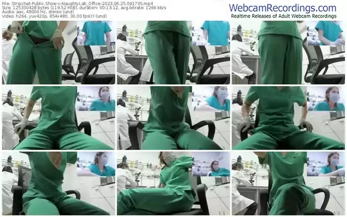 2023/06/25/stripchat-naughtylab_office-09-17-35