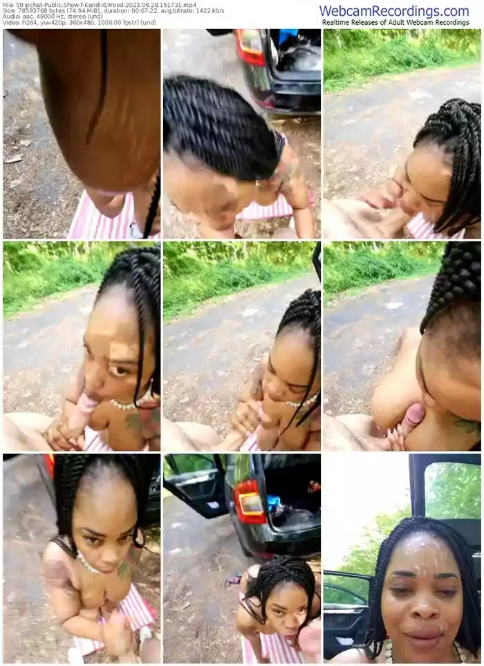 2023/06/28/stripchat-kandixlwood-15-17-31