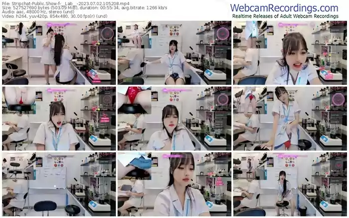 2023/07/02/stripchat-__lab__-10-52-08