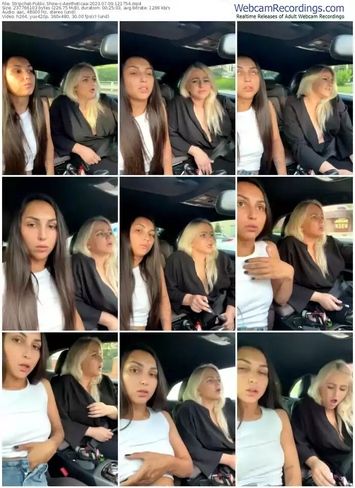 2023/07/09/stripchat-aestheticaa-12-17-54