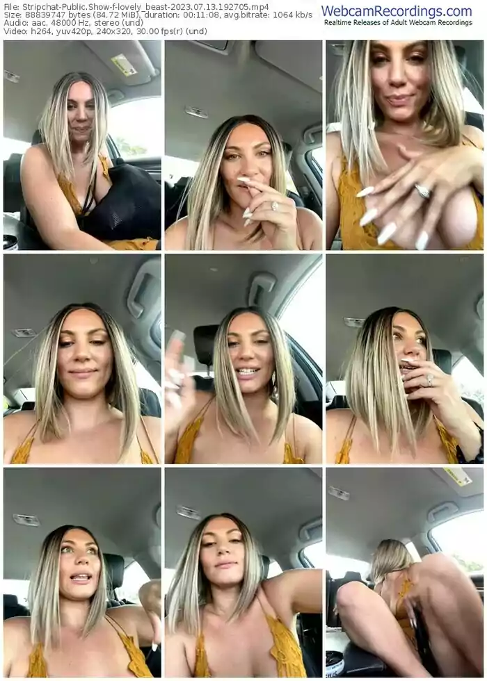 2023/07/13/stripchat-lovely_beast-19-27-05