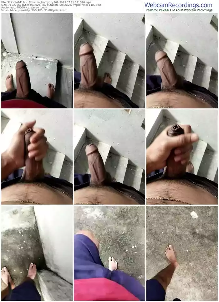 2023/07/31/stripchat-_hornyboy369-04-13-26