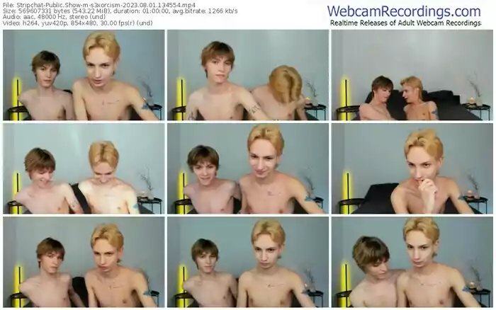 2023/08/01/stripchat-s3xorcism-13-45-54