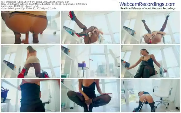2023/08/24/stripchat-art_porno-04-05-35