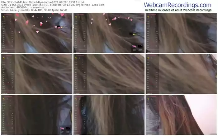 2023/08/29/stripchat-ryo-sama-12-43-18