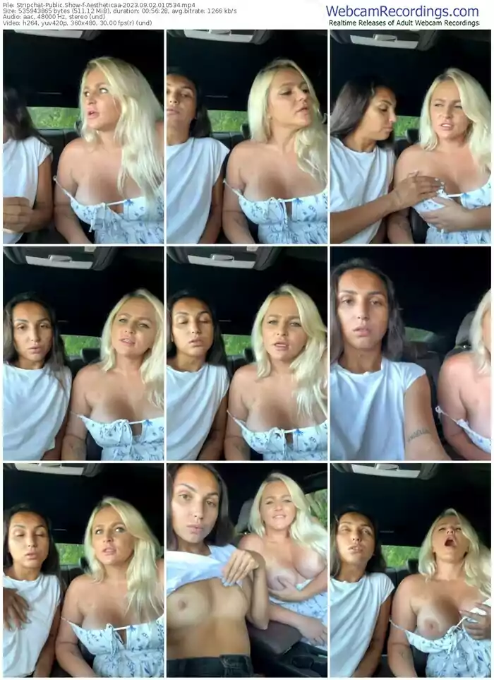 2023/09/02/stripchat-aestheticaa-01-05-34