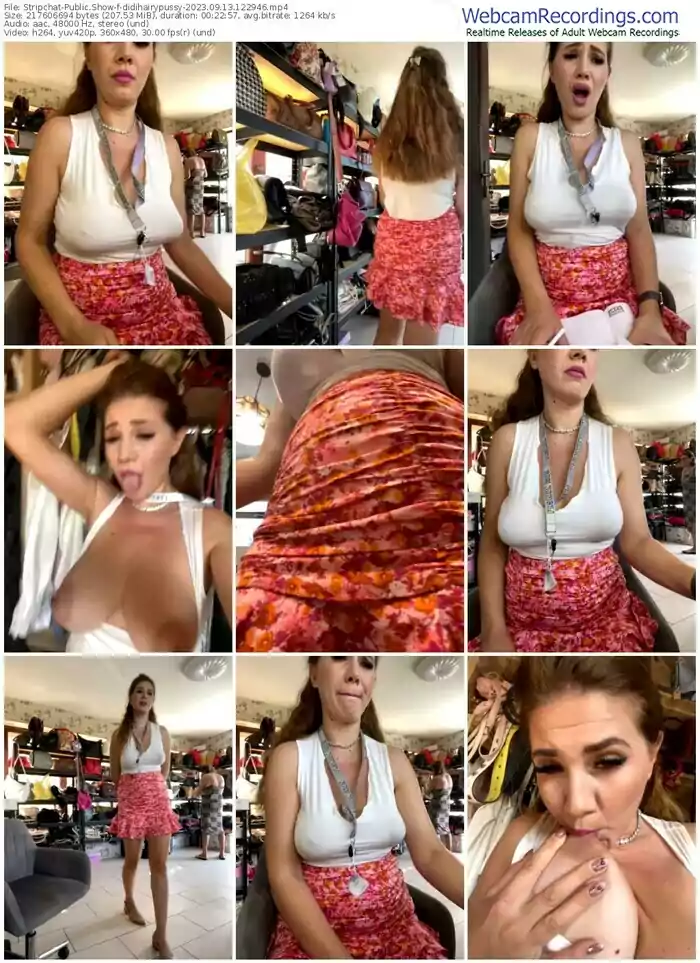 2023/09/13/stripchat-didihairypussy-12-29-46