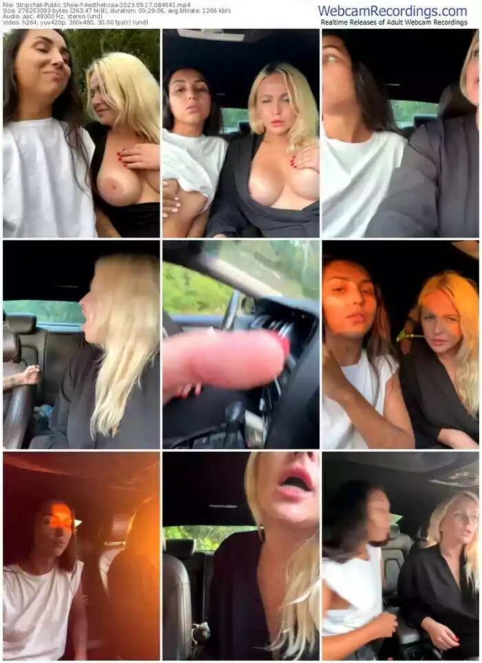 2023/09/17/stripchat-aestheticaa-08-46-41