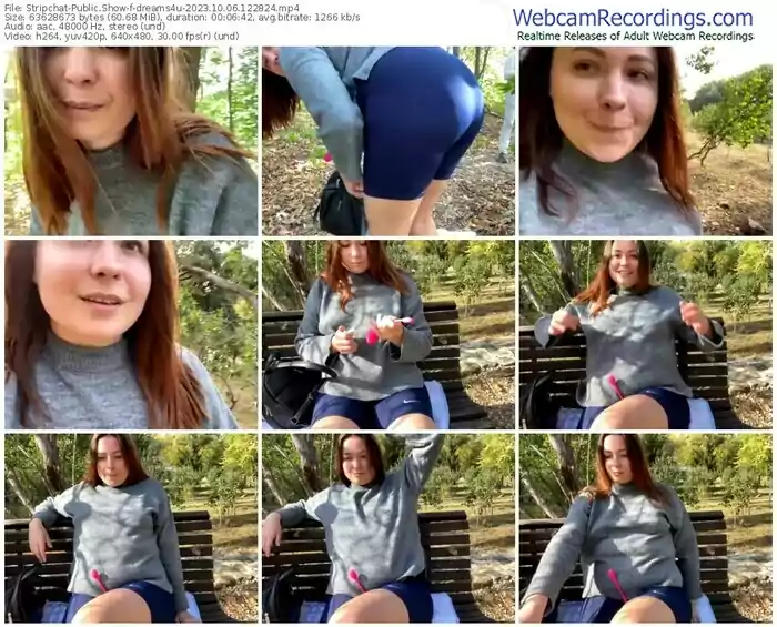 2023/10/06/stripchat-dreams4u-12-28-24