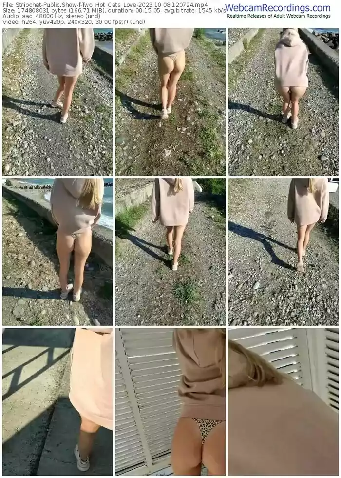 2023/10/08/stripchat-two_hot_cats_love-12-07-24