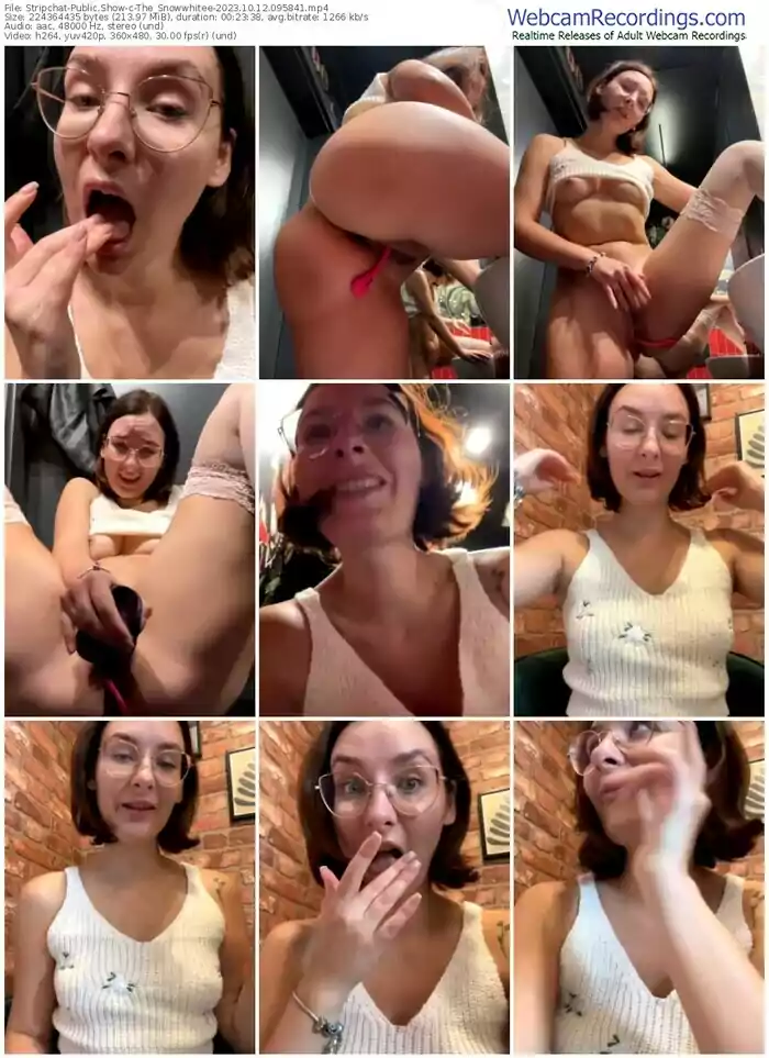 2023/10/12/stripchat-the_snowwhitee-09-58-41