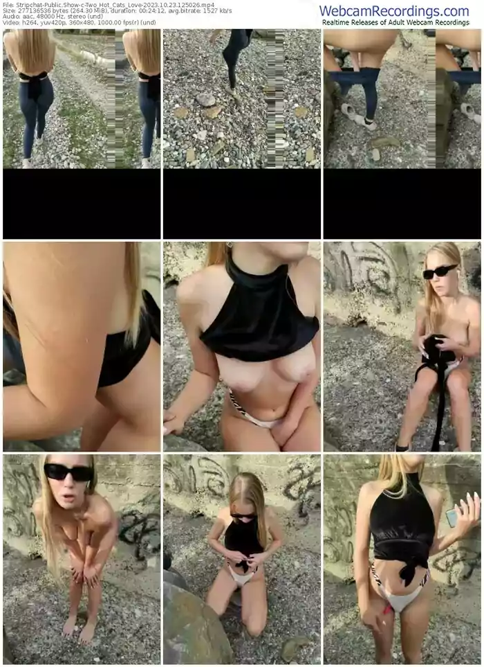 2023/10/23/stripchat-two_hot_cats_love-12-50-26