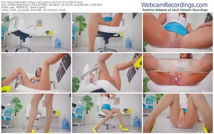 2023/10/23/stripchat-art_porno-02-45-18