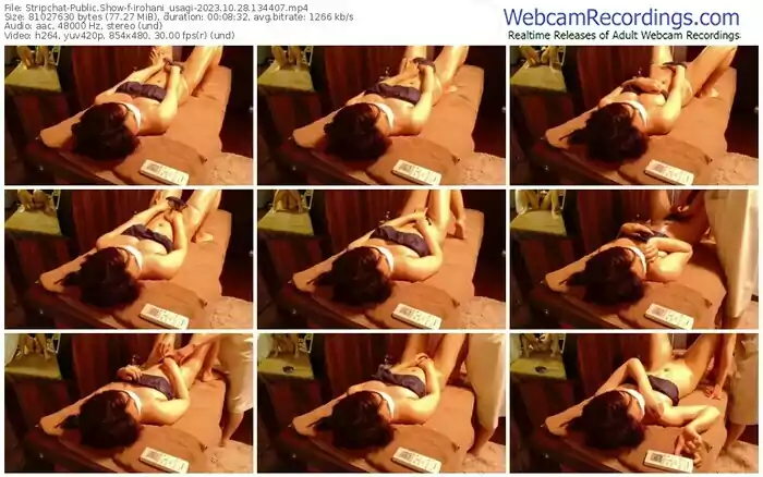 2023/10/28/stripchat-irohani_usagi-13-44-07