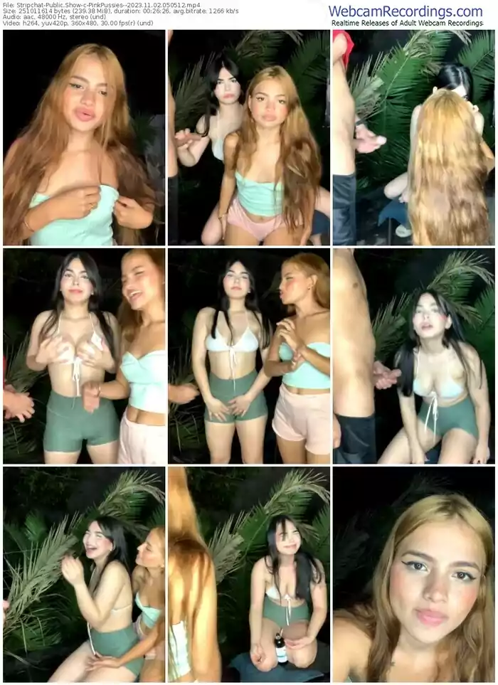 2023/11/02/stripchat-pinkpussies--05-05-12