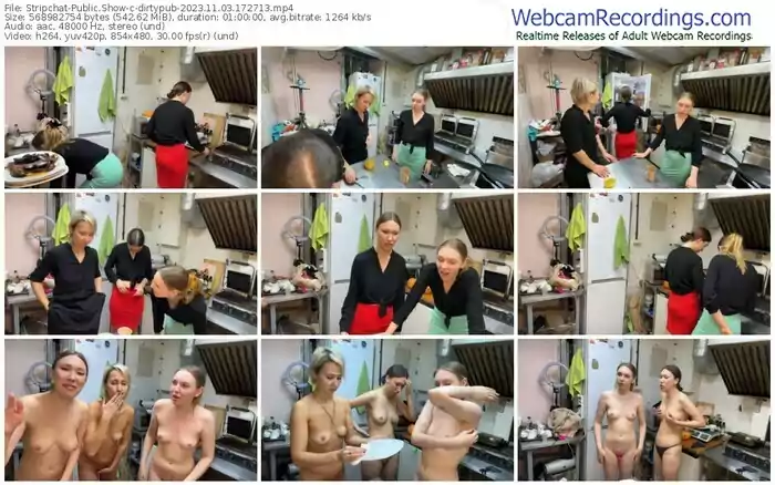 2023/11/03/stripchat-dirtypub-17-27-13