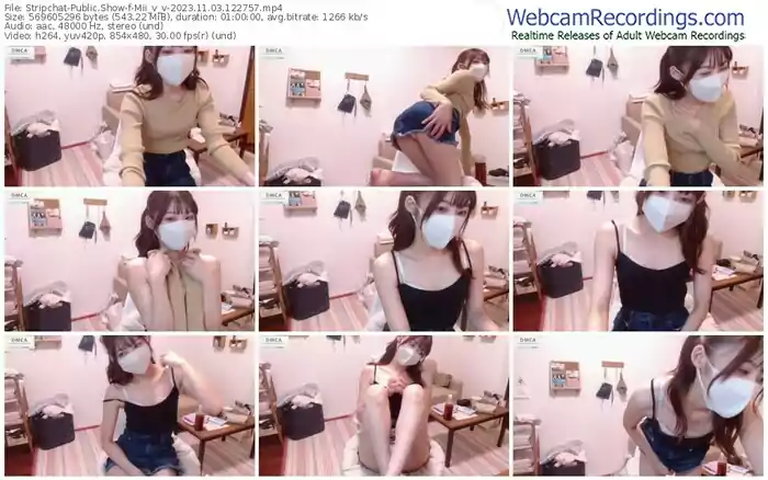 2023/11/03/stripchat-mii_v_v-12-27-57