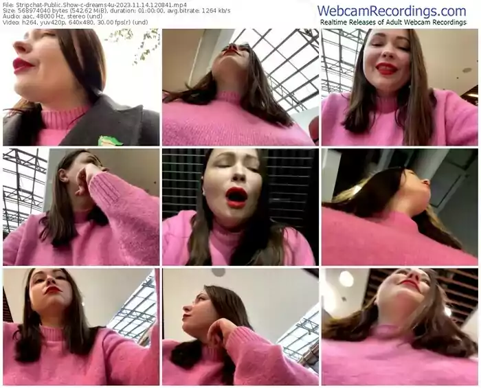 2023/11/14/stripchat-dreams4u-12-08-41