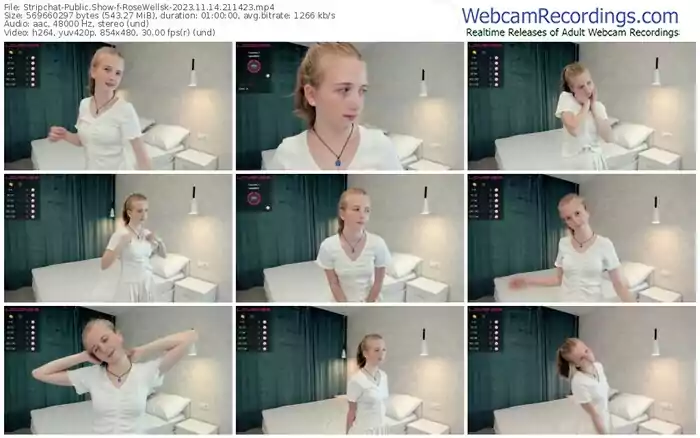 2023/11/14/stripchat-rosewellsk-21-14-23