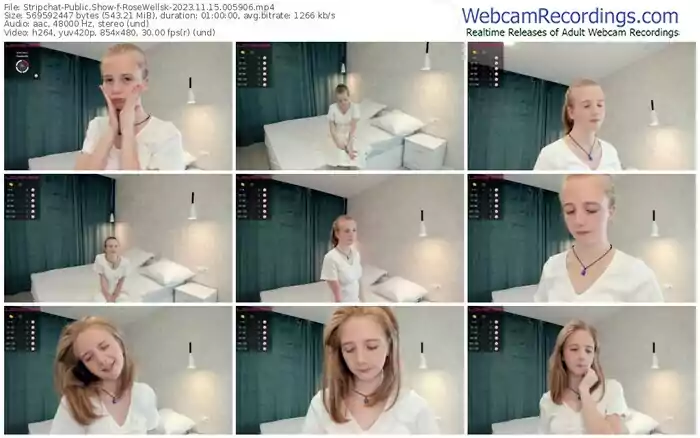 2023/11/15/stripchat-rosewellsk-00-59-06