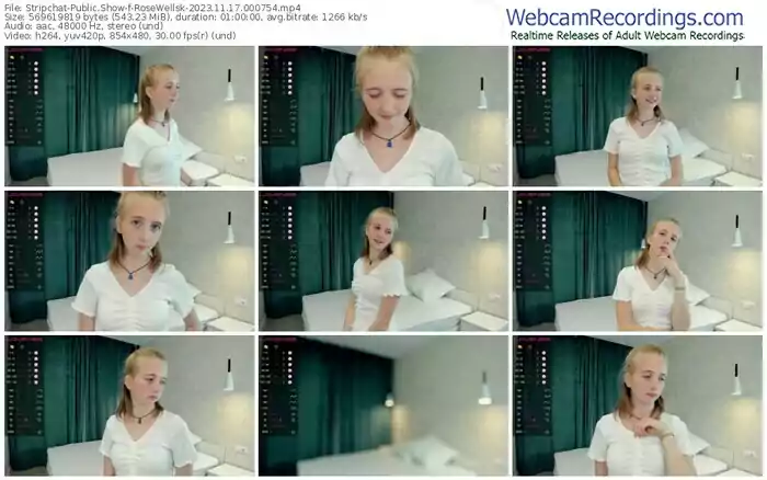 2023/11/17/stripchat-rosewellsk-00-07-54