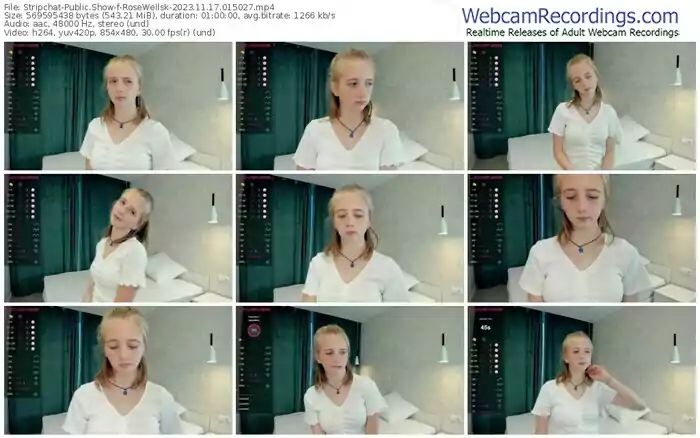 2023/11/17/stripchat-rosewellsk-01-50-27