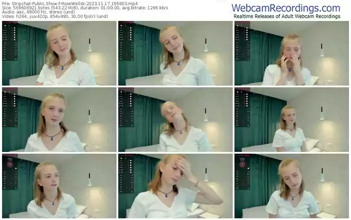 2023/11/17/stripchat-rosewellsk-19-56-03