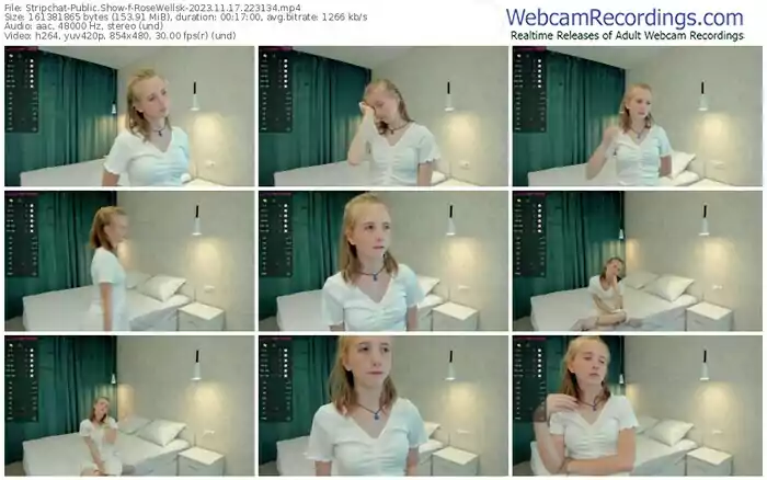 2023/11/17/stripchat-rosewellsk-22-31-34