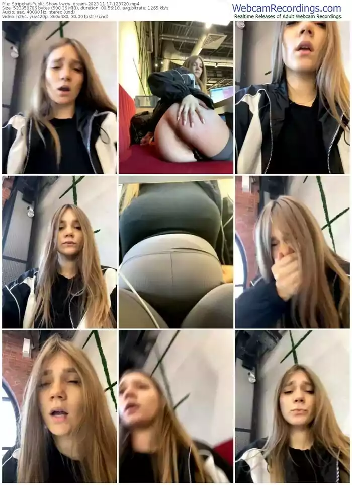2023/11/17/stripchat-wow_dream-12-37-20