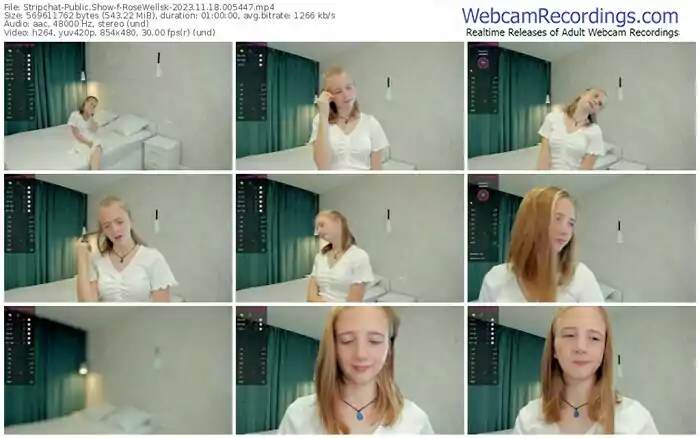 2023/11/18/stripchat-rosewellsk-00-54-47
