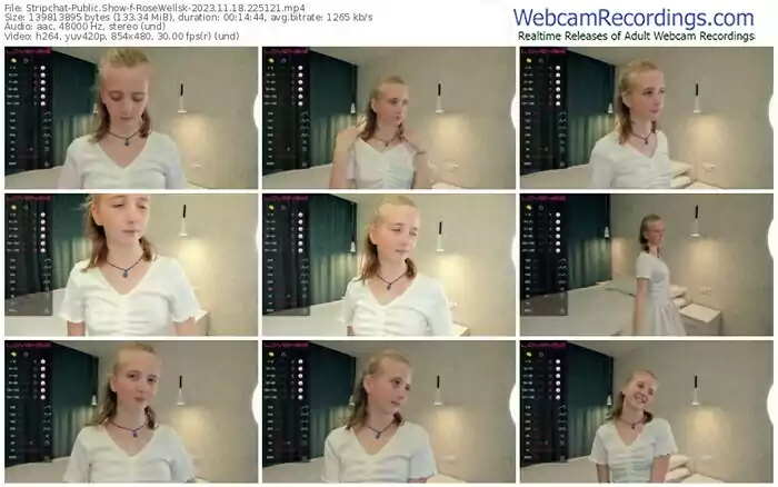2023/11/18/stripchat-rosewellsk-22-51-21