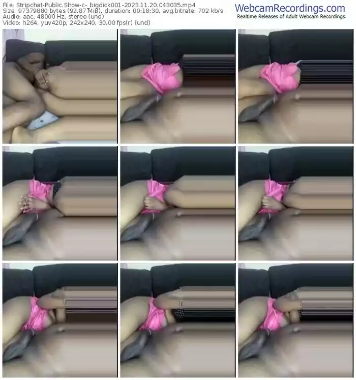 2023/11/20/stripchat-_bigdick001-04-30-35