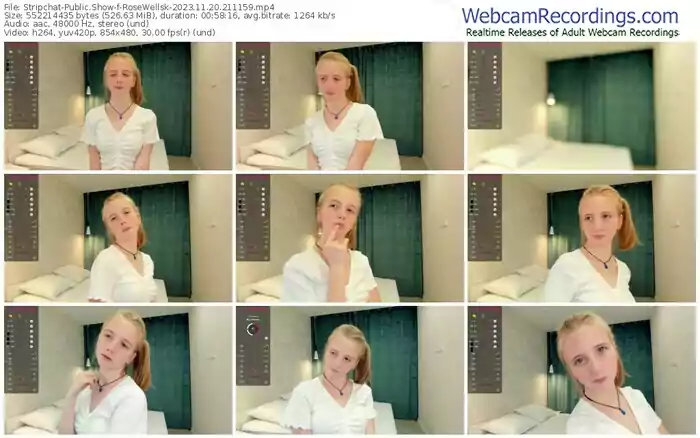 2023/11/20/stripchat-rosewellsk-21-11-59