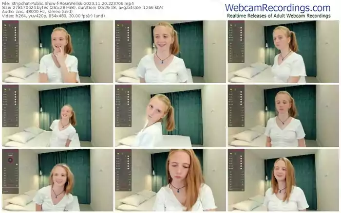 2023/11/20/stripchat-rosewellsk-22-37-09