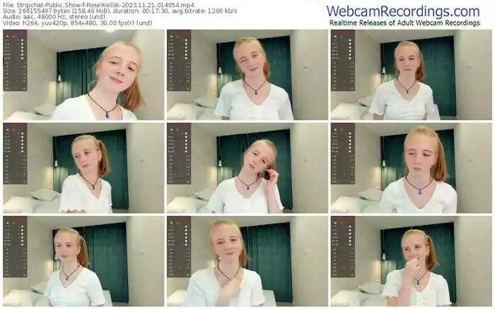 2023/11/21/stripchat-rosewellsk-01-40-54