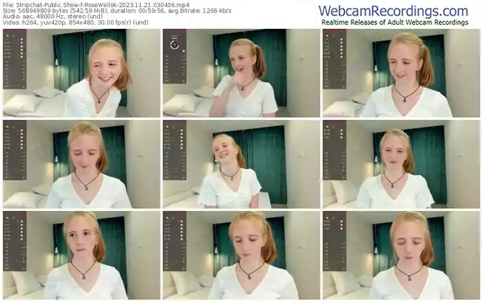 2023/11/21/stripchat-rosewellsk-03-04-06