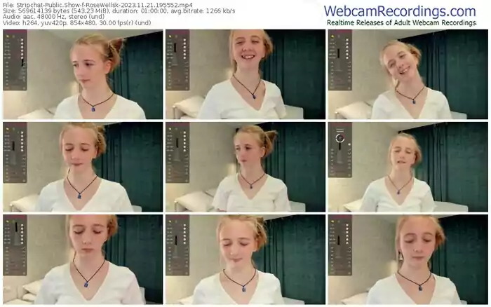 2023/11/21/stripchat-rosewellsk-19-55-52