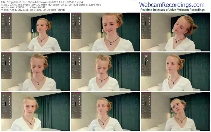 2023/11/21/stripchat-rosewellsk-20-57-18