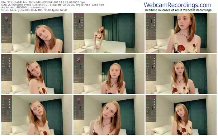 2023/11/22/stripchat-rosewellsk-02-00-52