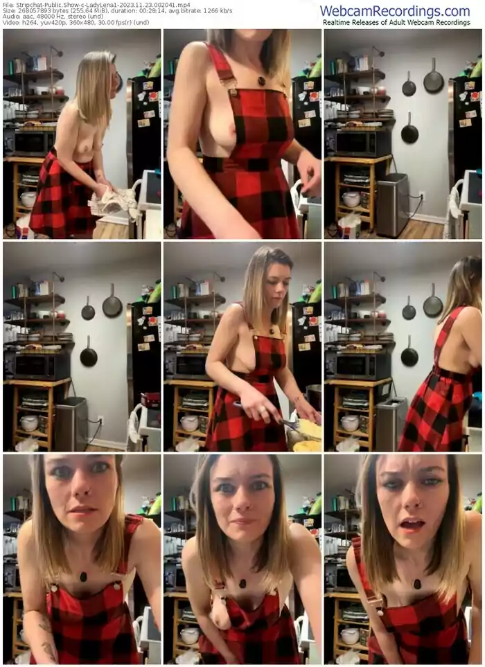 2023/11/23/stripchat-ladylena1-00-20-41