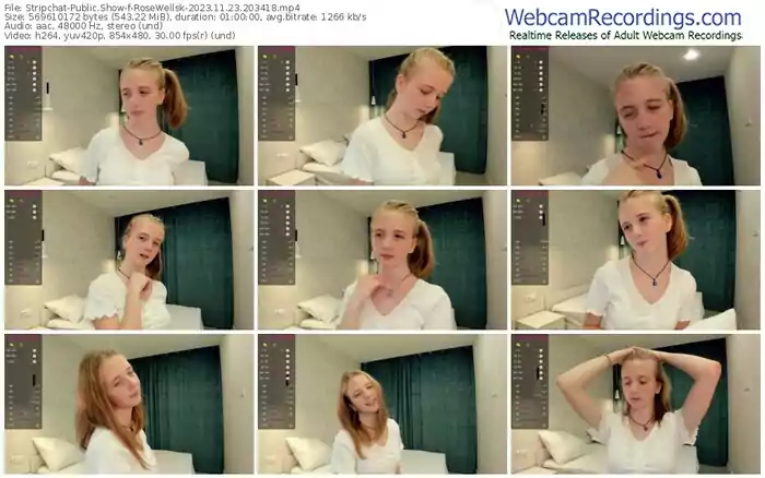 2023/11/23/stripchat-rosewellsk-20-34-18